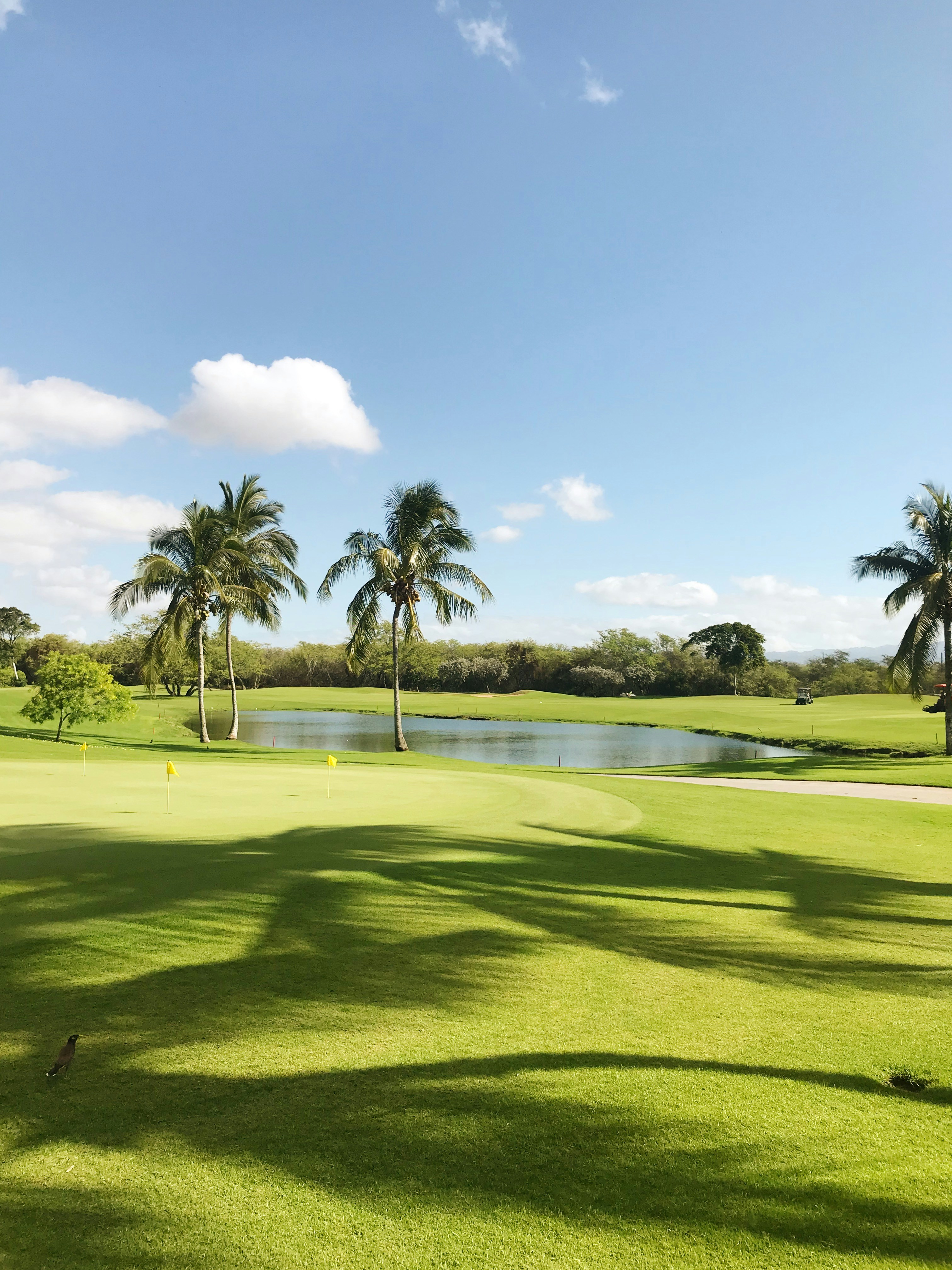 Golf Paradise